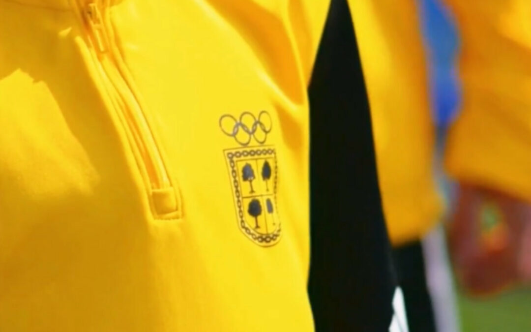 Nueva colección 25-26